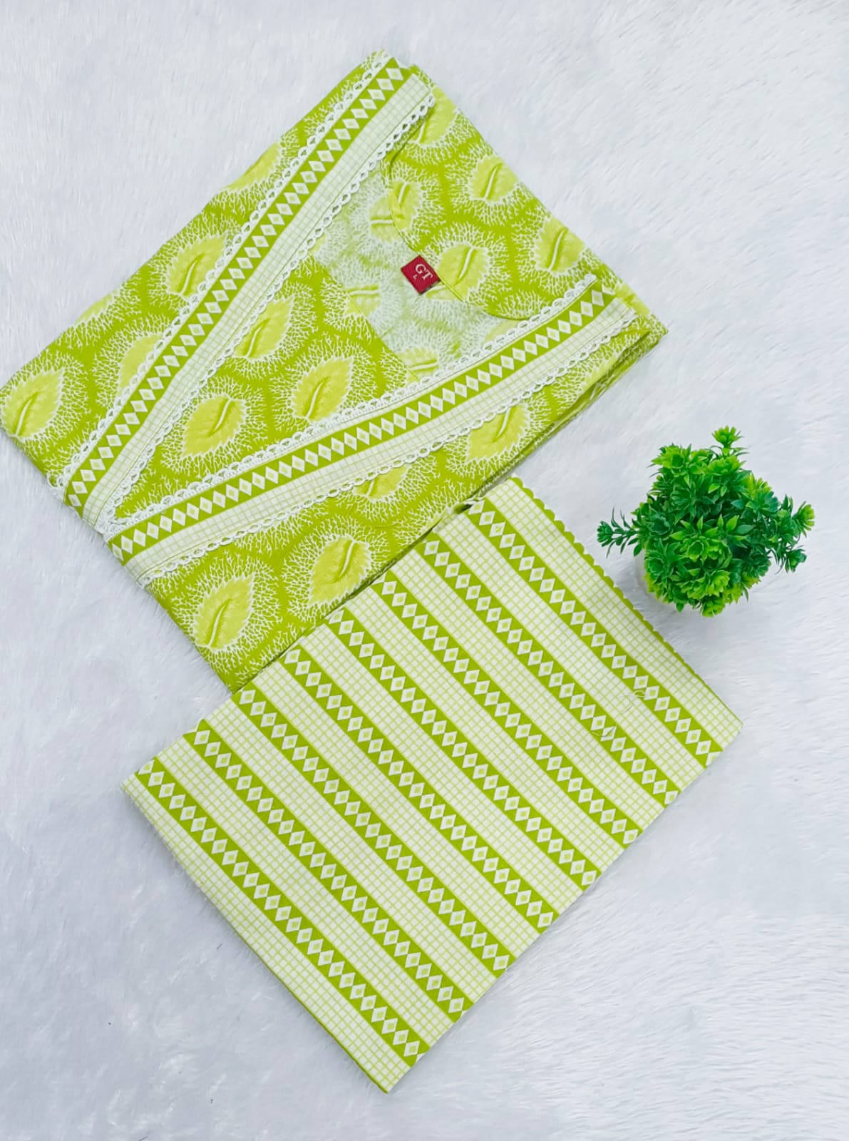 Jaipur Cotton 2 piece set